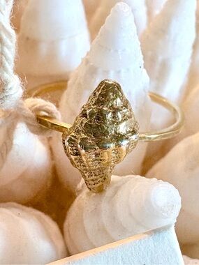 Chan Luu Shell Ring in Gold Plate. Size 8. Brand new!